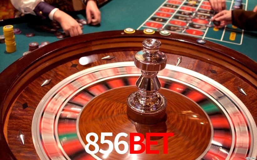 Experiência VIP 856bet