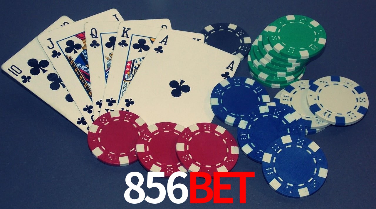 Bonus Features 856bet