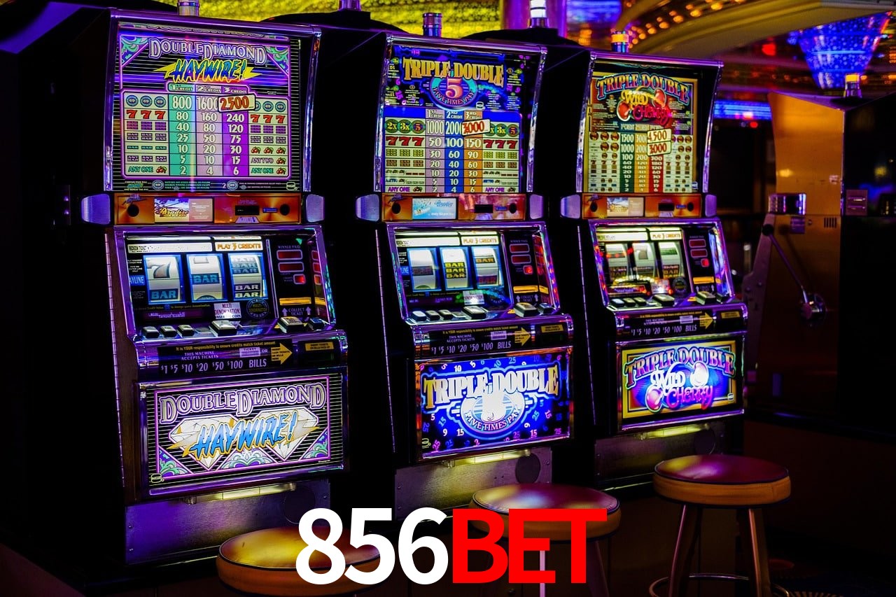 Casino Ao Vivo 856bet