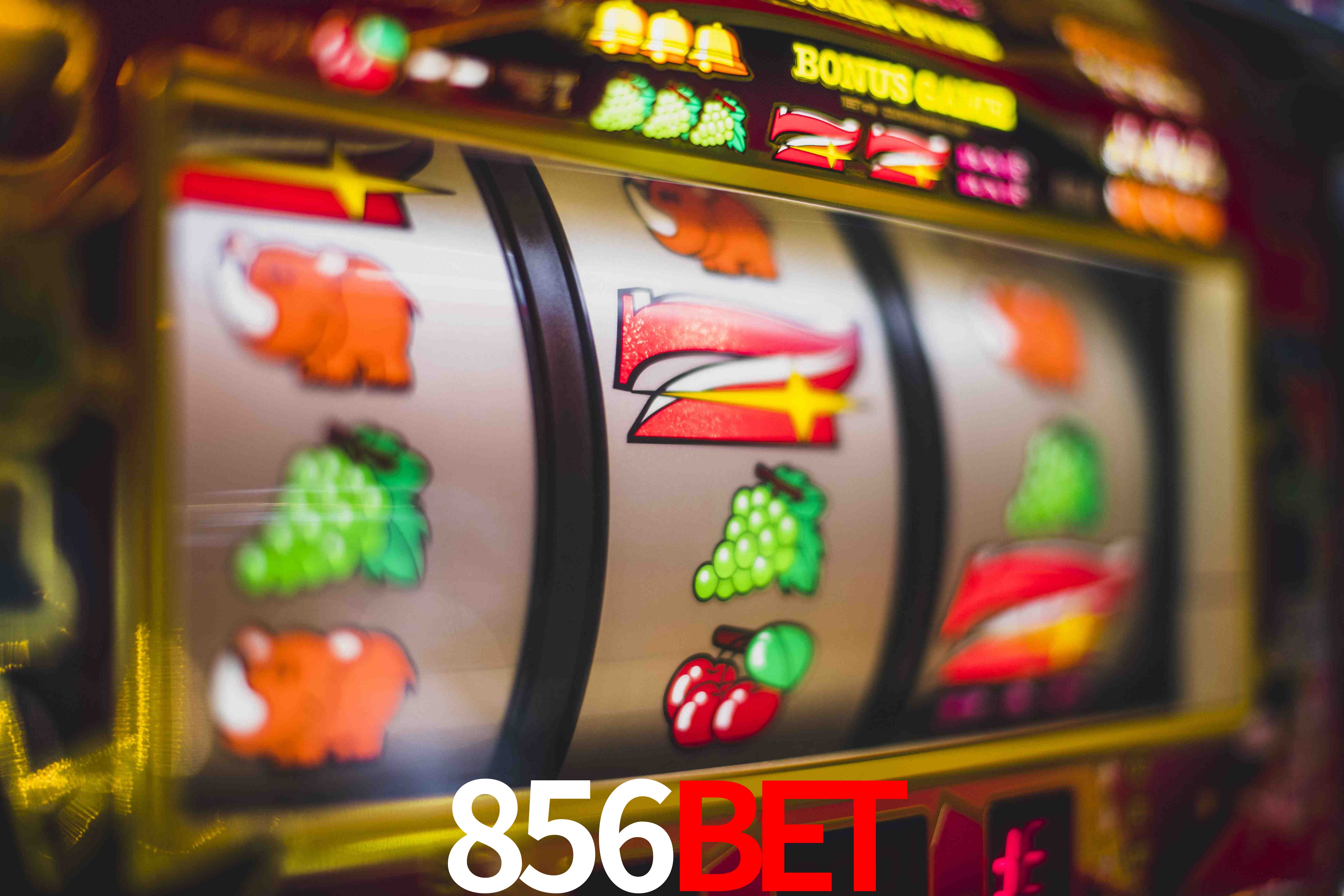 Football Betting 856bet