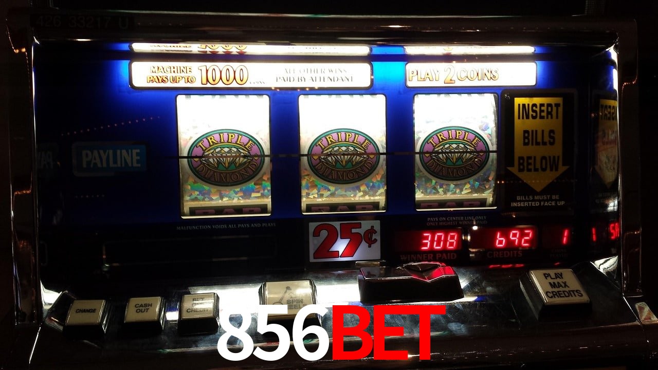 Sports Statistics 856bet