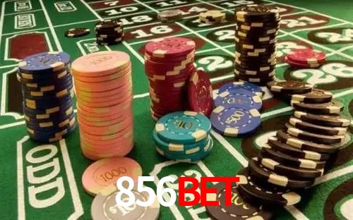 Comparação APP mobile vs versão web da 856bet